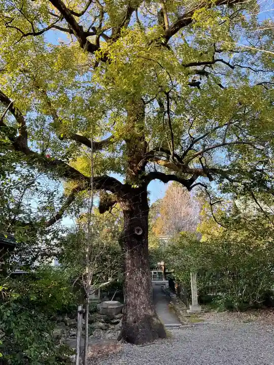 溝旗神社(肇國神社)(岐阜県)