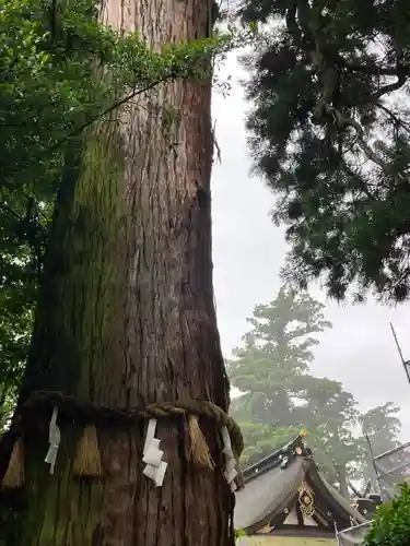 香取神宮(千葉県)