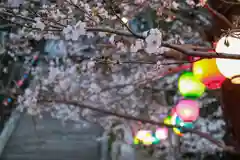 川田八幡神社の自然