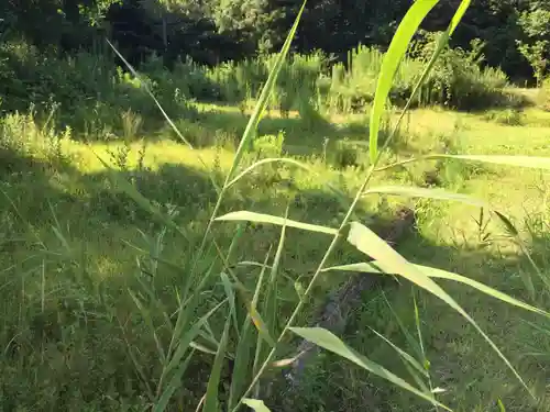 居多神社の周辺