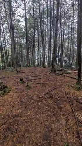 秋葉神社(京都府)