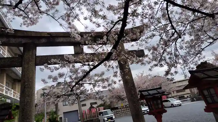 六孫王神社(京都府)