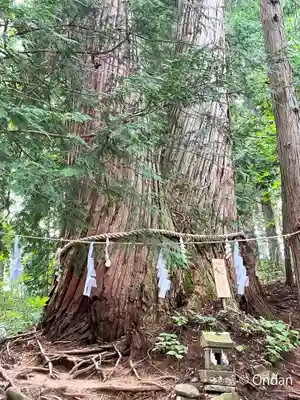 戸隠神社火之御子社(長野県)