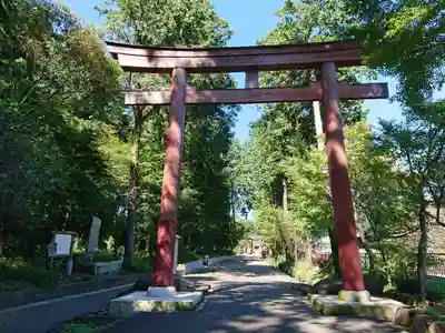大前神社の鳥居