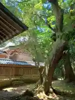 倭文神社の本殿・本堂