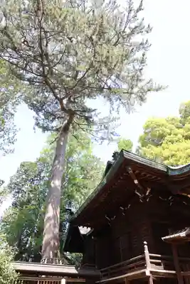 熊野神社(東京都)
