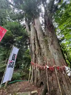 磐椅神社(福島県)