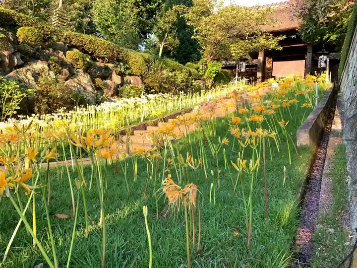 横浜 西方寺の自然