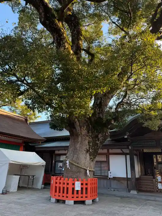 宇佐神宮(大分県)