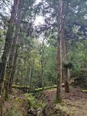 春日大社(奈良県)