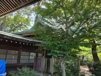 焼津神社(静岡県)