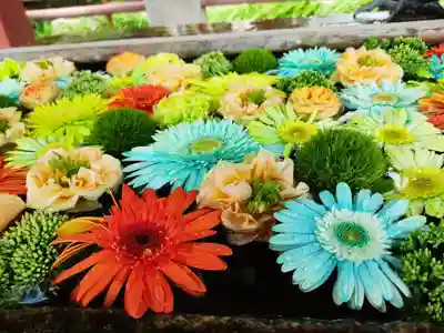 津島神社の手水舎