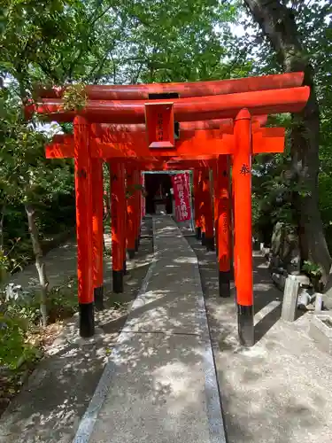 伏見稲荷神社の鳥居