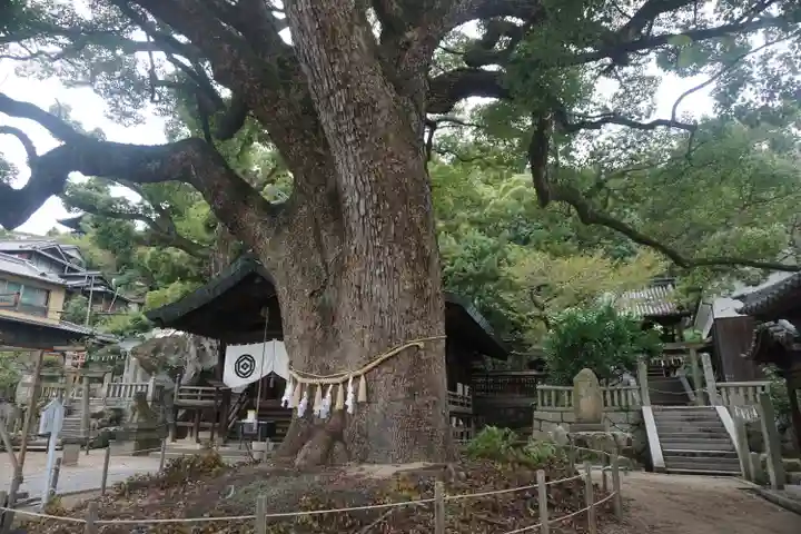 艮神社の自然