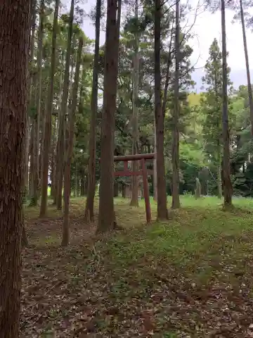 権現様(千葉県)