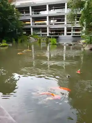 東郷神社(東京都)