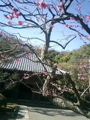 海蔵寺の本殿・本堂