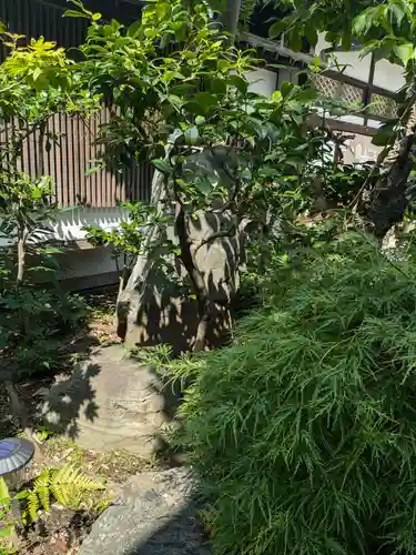 浄雲寺(東京都)