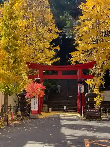 愛宕神社の鳥居