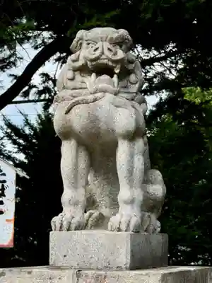 富良野神社の狛犬