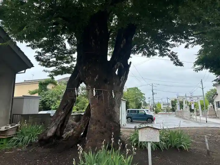 蒲原神社(新潟県)