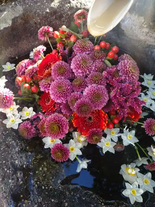 浄元寺(静岡県)