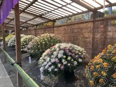 亀戸天神社(東京都)