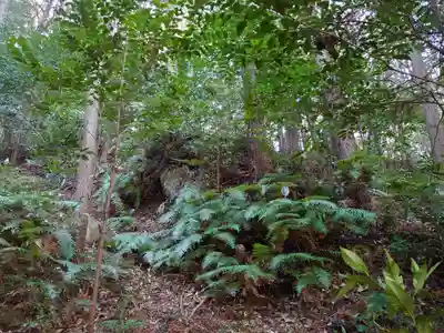 立石稲荷の自然