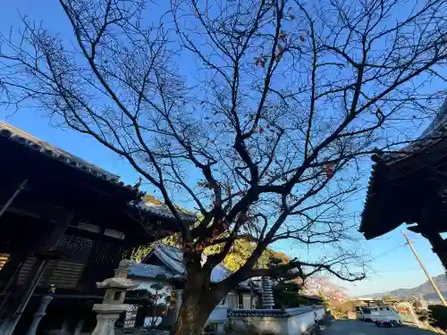 神願寺(和歌山県)