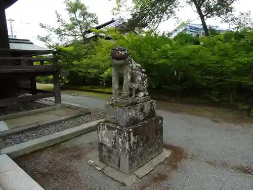 志賀神社の狛犬