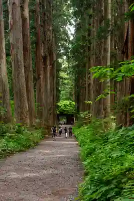戸隠神社九頭龍社(長野県)