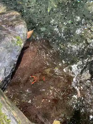 泉神社(茨城県)
