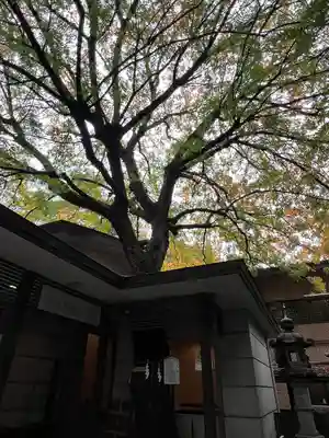 乃木神社(東京都)