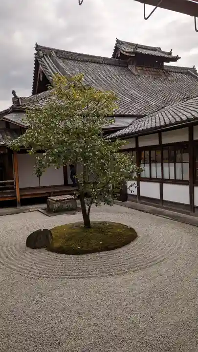 建仁寺(建仁禅寺)(京都府)