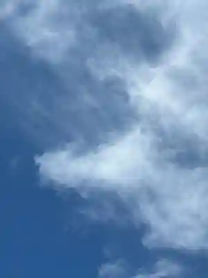 東京大神宮(東京都)