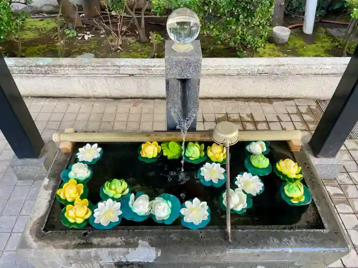 城岡神社の{uncategorized: "未分類", other: "その他", undefined: "問題あり", building: "その他建物", grave: "お墓", sacred_gate: "鳥居", guardian: "狛犬", statue: "像", buddha: "仏像", history: "歴史", nature: "自然", garden: "庭園", animal: "動物", pagoda: "塔", temizu: "手水舎", mountain_gate: "山門・神門", sanctuary: "本殿・本堂", subordinate: "末社・摂社", art: "芸術", scenery: "景色", jizo: "地蔵", ema: "絵馬", goshuin: "御朱印", omikuji: "おみくじ", items: "授与品その他", amulet: "お守り", goshuincho: "御朱印帳", eats: "食事", festival: "お祭り", votive_dance: "神楽", shichigosan: "七五三参", wedding: "結婚式", experience: "体験その他", initially: "初詣", around: "周辺", anti_infection: "感染症対策"}