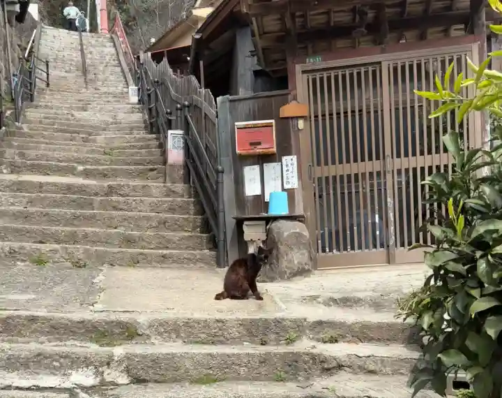 千光寺の{uncategorized: "未分類", other: "その他", undefined: "問題あり", building: "その他建物", grave: "お墓", sacred_gate: "鳥居", guardian: "狛犬", statue: "像", buddha: "仏像", history: "歴史", nature: "自然", garden: "庭園", animal: "動物", pagoda: "塔", temizu: "手水舎", mountain_gate: "山門・神門", sanctuary: "本殿・本堂", subordinate: "末社・摂社", art: "芸術", scenery: "景色", jizo: "地蔵", ema: "絵馬", goshuin: "御朱印", omikuji: "おみくじ", items: "授与品その他", amulet: "お守り", goshuincho: "御朱印帳", eats: "食事", festival: "お祭り", votive_dance: "神楽", shichigosan: "七五三参", wedding: "結婚式", experience: "体験その他", initially: "初詣", around: "周辺", anti_infection: "感染症対策"}