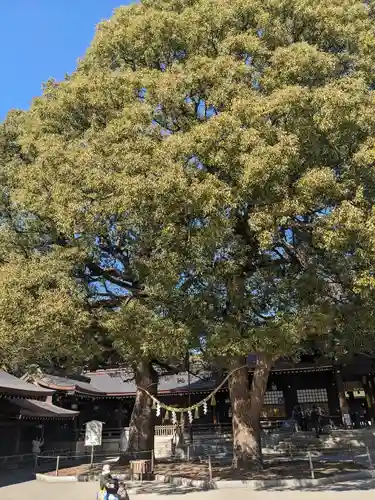 明治神宮(東京都)