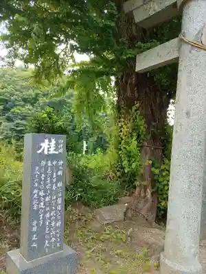 今泉神社(福島県)
