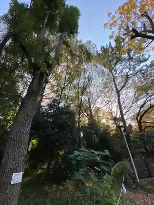 布多天神社(東京都)