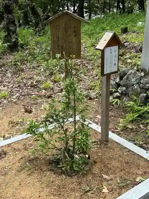 鼓岡神社(香川県)