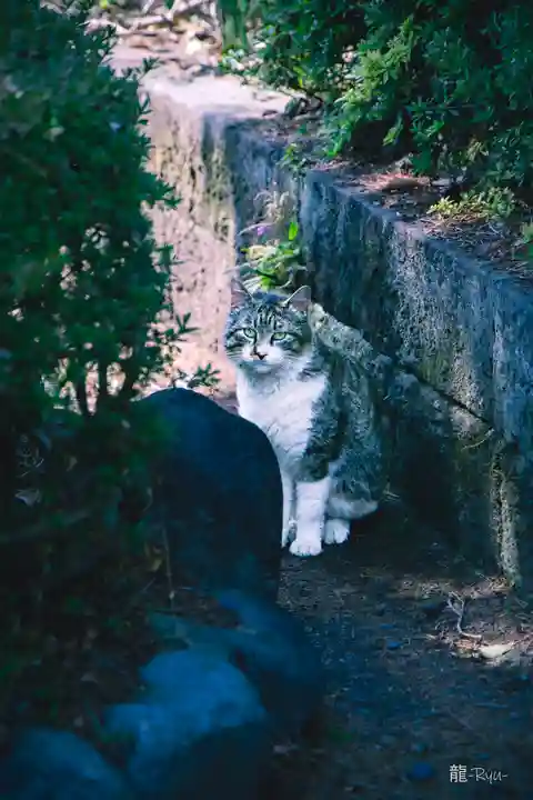 今市報徳二宮神社(栃木県)
