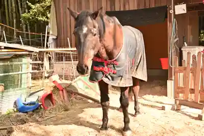 洞春寺(山口県)