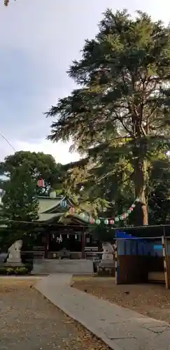 葛西神社の本殿・本堂
