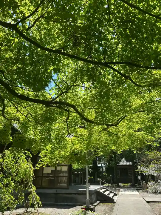 十社大神(富山県)