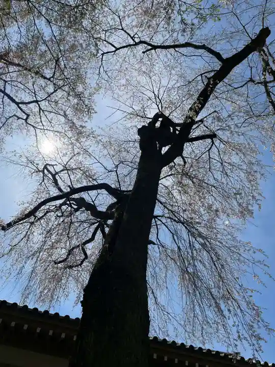 宝聚院(京都府)