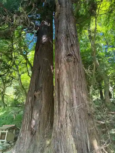 長谷寺(奈良県)