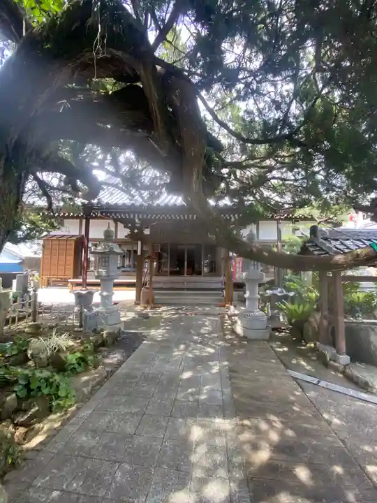 善徳寺(和歌山県)