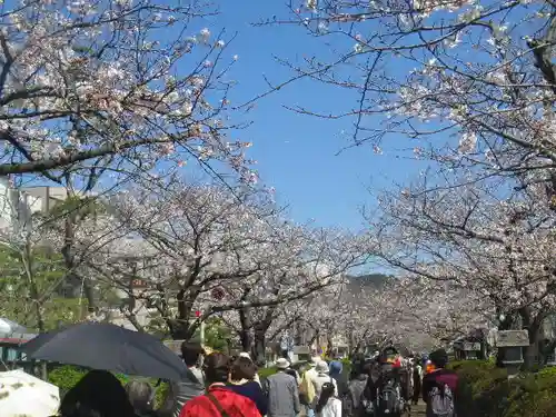 鶴岡八幡宮の自然