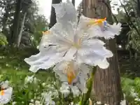 大宮温泉神社(栃木県)
